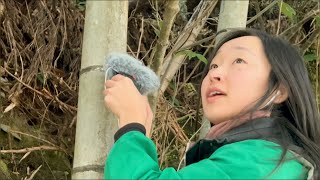 ASMR IN RURAL JAPAN🇯🇵🌿 [upl. by Rezzani]