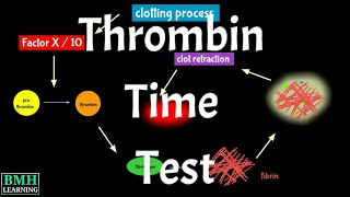 Thrombin Time Test  TT Test  Thrombin Clotting Time Test [upl. by Rosol]