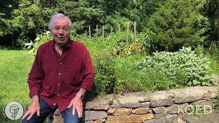 Jacques Pépins Home Garden  Jacques Pépin Cooking At Home  KQED [upl. by Selohcin284]