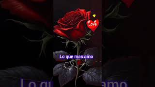 Chayanne  ❤️Yo Te Amo ❤️shortsfeed shortvideo love passion [upl. by Anivas]