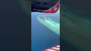 🌴 Ultimate Maldives Islands Tour  Discover Paradise 🌊✨ travel maldivian beach maldivesisland [upl. by Gnoix]