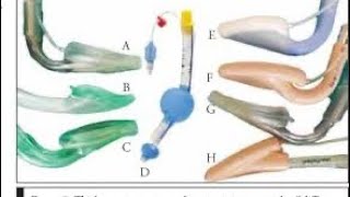 Supraglottic Airway Devices [upl. by Nivram]