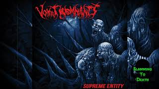 Vomit Remnants  Supreme Entity 1999 Full Album [upl. by Westfahl]