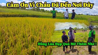 Quang Dũng  Các Anh Hãy Mở Rộng Diện Tích Trồng Lúa Đi Sang Tuần Tôi Cùng Xếp Lớn Đến Thăm [upl. by Marv246]