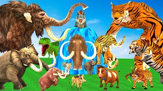 10 Mammoth Elephant Cow Bull vs 5 Giant Tiger Wolf vs Dinosaur Fight Tiger Cub Save by Woolly Mammot [upl. by Nyladnarb6]