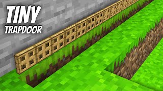 I found a TINY LONGEST TRAPDOOR in Minecraft  TINY PIT [upl. by Woods]