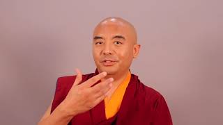 Mingyur Rinpoche  Everythingness [upl. by Annissa]