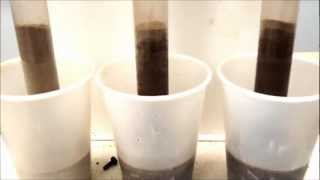 Class Demonstration of Capillary Rise [upl. by Ellicott]