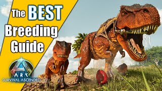 The BEST Breeding Guide on Mutations  Ark Survival Ascended [upl. by Alviani]