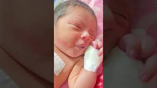 Newborn baby Nicu admit baby cute sort video viral  please like subscribe kre🙏👶🩼 [upl. by Napoleon915]