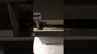 asmr VERY SATISFYING 1€ COIN SOUNDS  MONEY CHANGER MACHINE satisfying shorts shortsvideo [upl. by Niwdla]