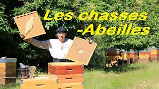 APICULTURE E33 Comment utiliser le chasse abeilles pour une récolte douce  Avantagesinconvénients [upl. by Assened]