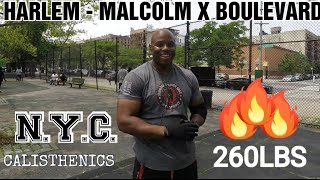 Ray  38 Yrs  NEW YORK CITY PARK CALISTHENICS TO LOSE WEIGHT STAY HEALTHY and RELIEVE STRESS [upl. by Hilly845]