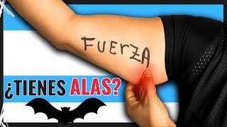 3 Ejercicios para FORTALECER Los BRAZOS Flácidos sin PESAS [upl. by Seline522]