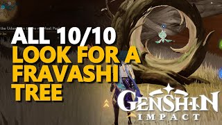 Look for a Fravashi Tree Genshin Impact [upl. by Noed]