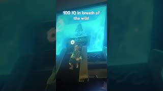 The legend of Zelda breath of the wild 100 IQ zelda nintendo videogames 100IQ [upl. by Tyson399]