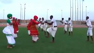 DANSE TRADITIONNEL SAYLICI SOMALI jabuti [upl. by Twila200]