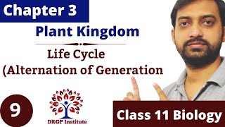 Chapter 3  Plant Kingdom  Lifecycle  Alternation of Generation  Class 11 CBSE RBSE NCERT Part9 [upl. by Johny80]