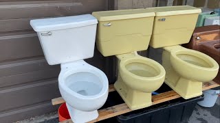 Flushing All My Toilet Collection [upl. by Marybella]