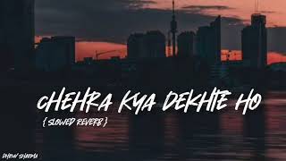 Chehra Kya Dekhte Ho slowed Reverb Song  Kumar Sanu  Lofi song [upl. by Fabiolas893]