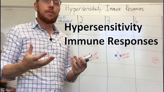 Hypersensitivity Immune Responses [upl. by Netsud]