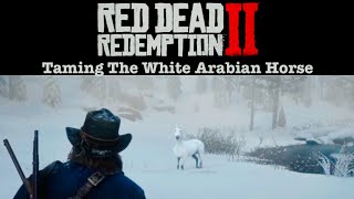 Taming The White Arabian Horse RDR2 [upl. by Hasen]