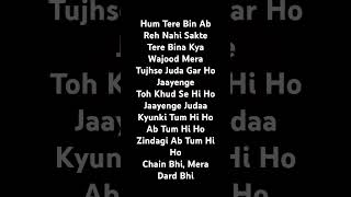 Hum Tere Bin Ab Reh Nahi Sakteasquishi 2hindi hindisong arijit singh [upl. by Nellac854]