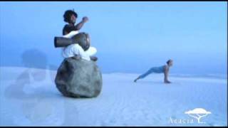 Kalari Vinyasa  From Shiva Rea Power Flow Yoga [upl. by Anbul804]