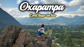 OXAPAMPA POR CUENTA PROPIA Como llegar y Presupuesto [upl. by Mcclish397]