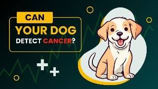 Dogs trained to detect Cancer [upl. by Sinylg]