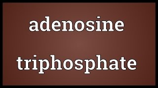 Adenosine triphosphate Meaning [upl. by Blakelee]