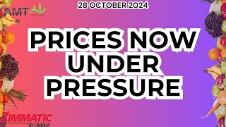 Low Demand amp High Volumes Puts Pressure on Prices  28 Oct 2024 [upl. by Ahsam]