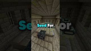 YOU NEED TO TRY THIS SEED [upl. by Ellerd984]