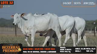 LOTE 32 AMJE 5898 M955 1022 [upl. by Eneleahcim]