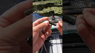 How To Rig a Weedless Ned  Bass Fishing [upl. by Arnie]