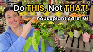 Do THIS Not THAT Plant Care  Watering Lighting Repotting Soil Fertilize  Houseplant Care 101 [upl. by Krein]