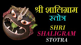 श्री शालग्राम स्तौत्रं Shri Shalagram Stotram पुरूषोत्तम मास मंत्र Sri Salagram Puja [upl. by Teiv940]