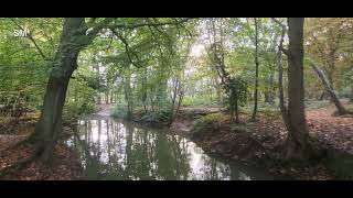 Coombe Abbey Country Park Coventry England [upl. by Armando]