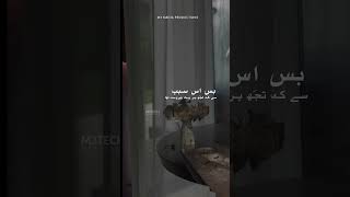 Poetry Short  Rafaqaton Mein  Shayari  M3Tech [upl. by Kcirrek]