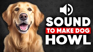 Sound to make Dog HOWL WORKING [upl. by Etnor]