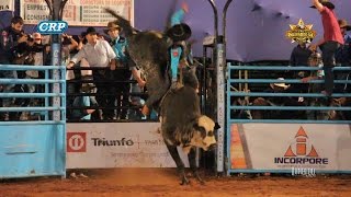 Rodeio de Ribeirão do Sul 2017  MELHOR TOURO  CAMAROTE CIA MOLEZAN [upl. by Elliott611]