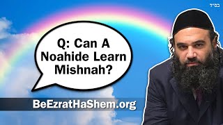 Q Can A Noahide Learn Mishnah amp Oral Torah [upl. by Aikemit638]