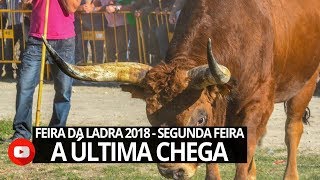 A ÚLTIMA CHEGA  FEIRA DA LADRA 2018  SEGUNDAFEIRA [upl. by Trubow]