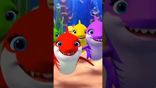 babyshark cocomelon kidssong kids nurseryrhymes peekaboo bingo abcd [upl. by Ticon]