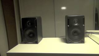 Genelec 1029A [upl. by Ahsenav]