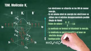 102 Teoría de Orbitales Moleculares Molécula N2 [upl. by Drucy118]