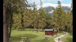 Val Pusteria MTB  Ottobre 2024 [upl. by Anead]