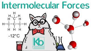 What are Intermolecular Forces [upl. by Amre646]