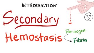 Coagulation Cascade  Easy Way To Remember Intrinsic vs Extrinsic Pathways  PT or PTT [upl. by Enyaz]