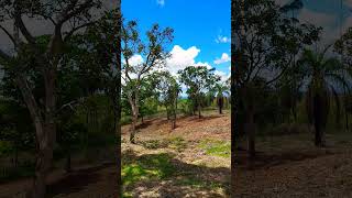 Tarde ensolarada na Serra do Palmital [upl. by Sergu]